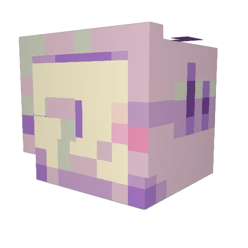 bluuestar Minecraft avatar head, 3D render