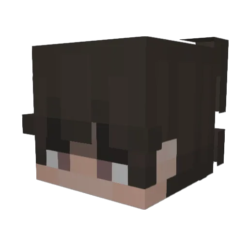 bluuey_ Minecraft avatar head, 3D render