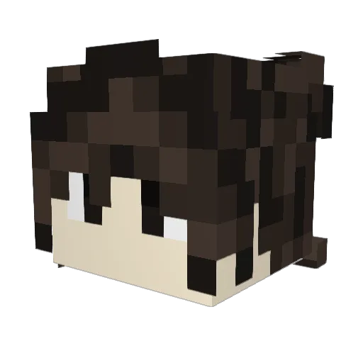 bluuishark Minecraft avatar head, 3D render