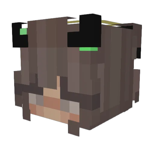 blvckd3sire Minecraft avatar head, 3D render