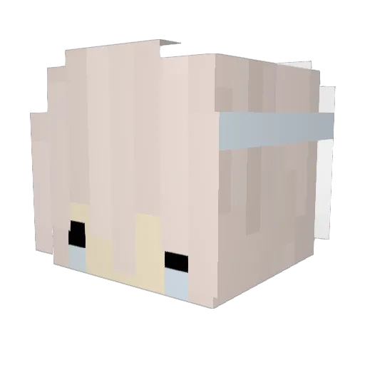 blxckoi Minecraft avatar head, 3D render
