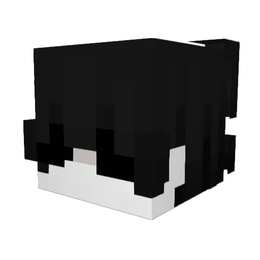 blxckusss Minecraft avatar head, 3D render