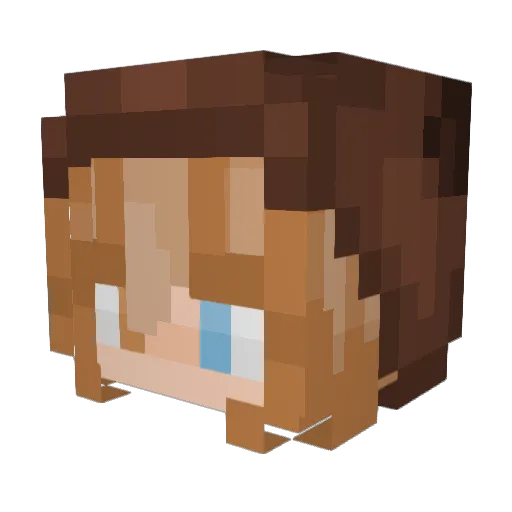 blxrryfxce Minecraft avatar head, 3D render