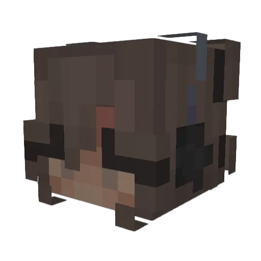 blxveha Minecraft avatar head, 3D render