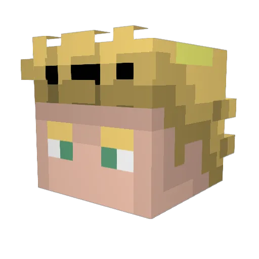 blyncc_ Minecraft avatar head, 3D render