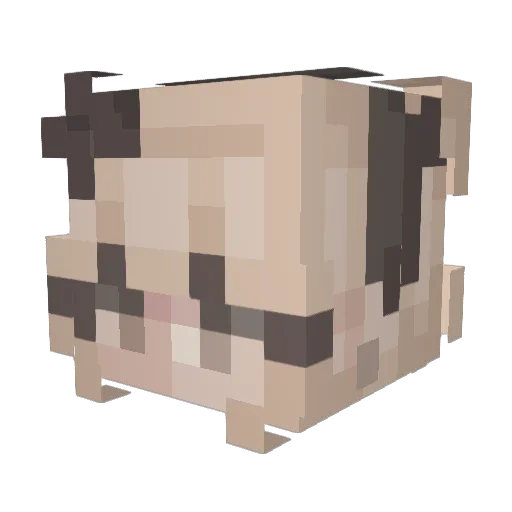 bmac0223 Minecraft avatar head, 3D render