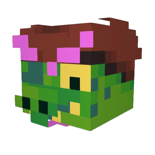 bmac14 Minecraft avatar head, 3D render