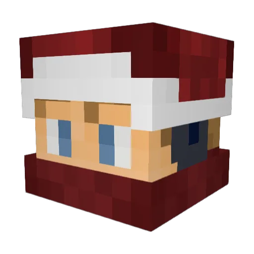 bman2115 Minecraft avatar head, 3D render