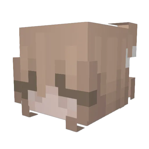 bmb0x Minecraft avatar head, 3D render