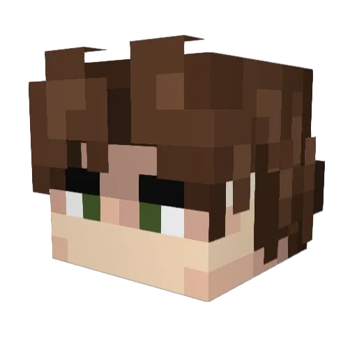 bmjl2006 Minecraft avatar head, 3D render