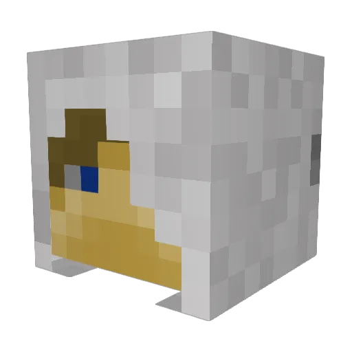 bmorgan95 Minecraft avatar head, 3D render
