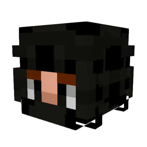 bmw3njoyer Minecraft avatar head, 3D render