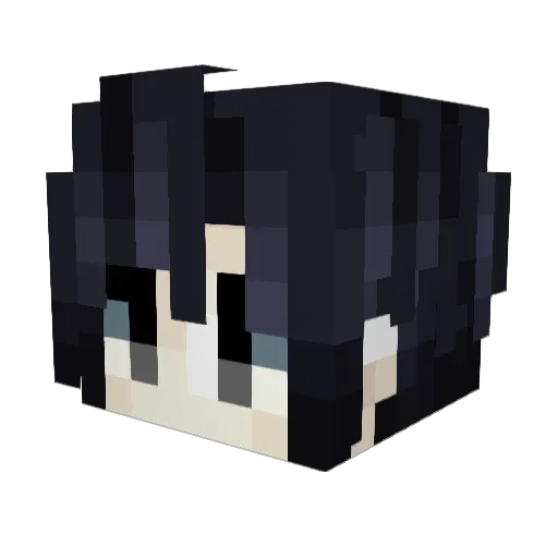bmwowner Minecraft avatar head, 3D render
