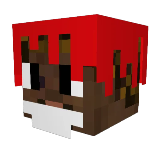 bmwz4931 Minecraft avatar head, 3D render