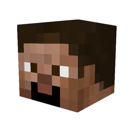 bmxbuddah Minecraft avatar head, 3D render