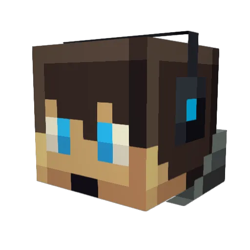 bmxj28 Minecraft avatar head, 3D render