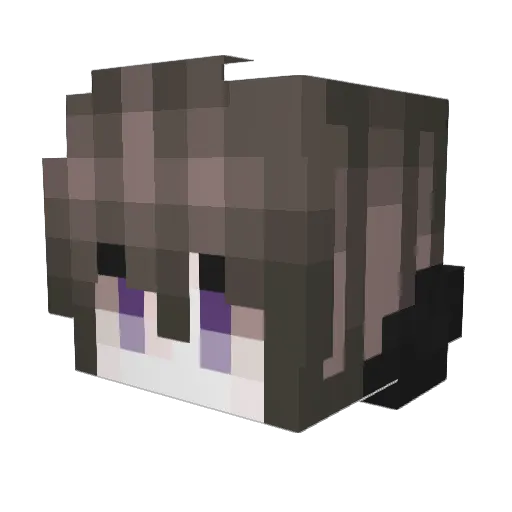 bn3ale Minecraft avatar head, 3D render