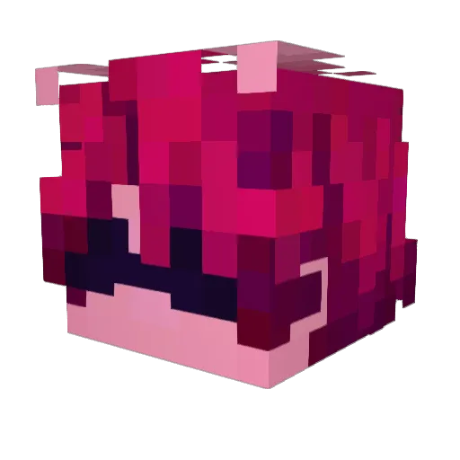 bnandny Minecraft avatar head, 3D render