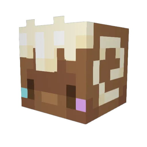 bnk1r Minecraft avatar head, 3D render