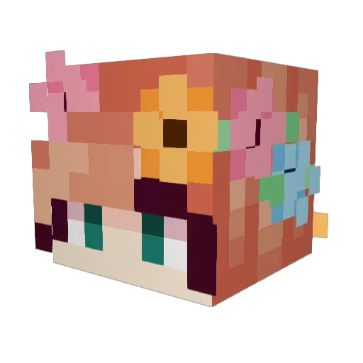 bnokes02 Minecraft avatar head, 3D render
