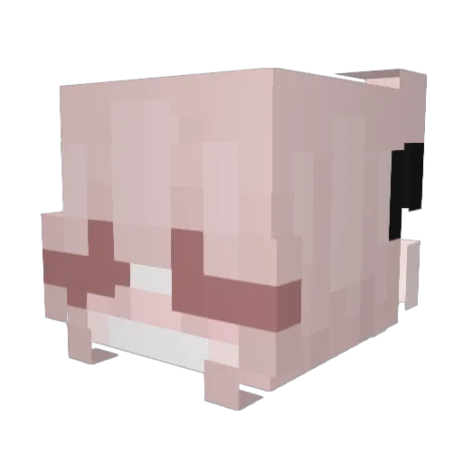 bnotita Minecraft avatar head, 3D render