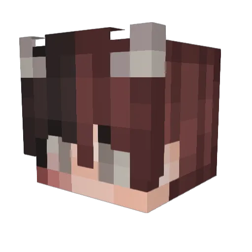 bnwy Minecraft avatar head, 3D render