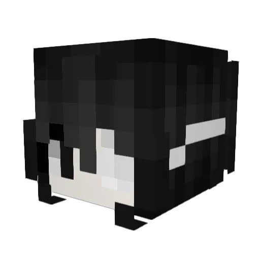 bo0y Minecraft avatar head, 3D render