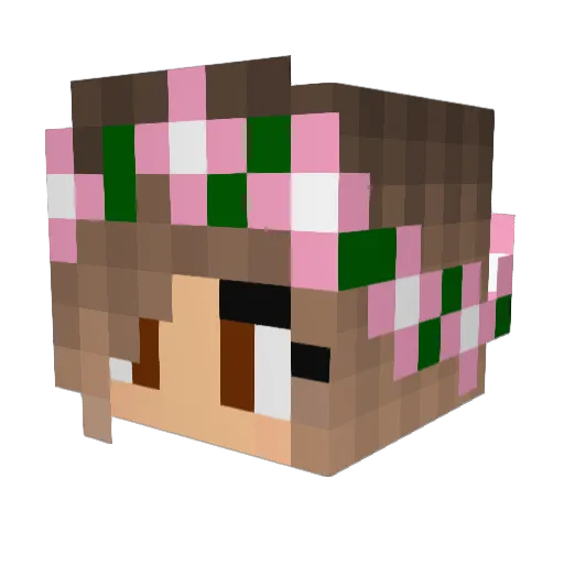 bo_3 Minecraft avatar head, 3D render