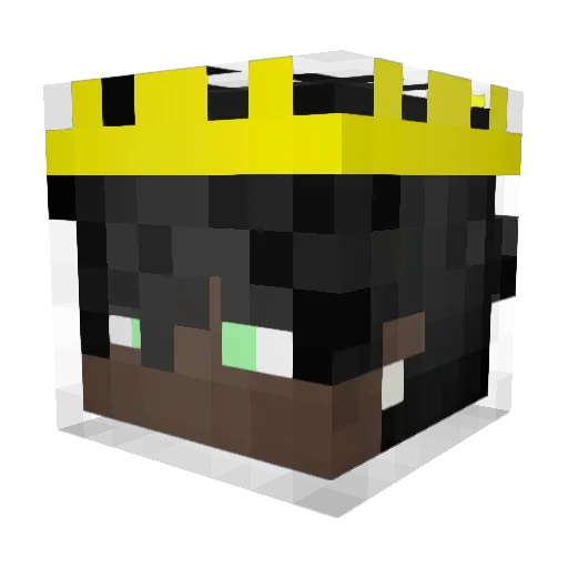 boa06 Minecraft avatar head, 3D render