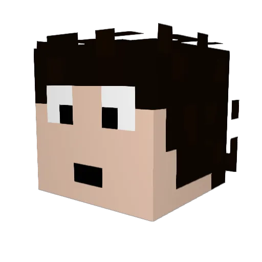 boas11 Minecraft avatar head, 3D render