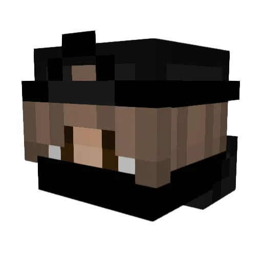 boatdog25 Minecraft avatar head, 3D render