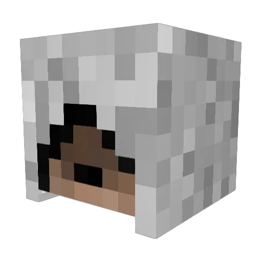 bob36004 Minecraft avatar head, 3D render