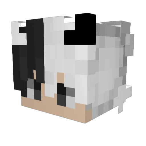 bobaboyuwu Minecraft avatar head, 3D render