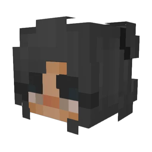 bobahouse Minecraft avatar head, 3D render