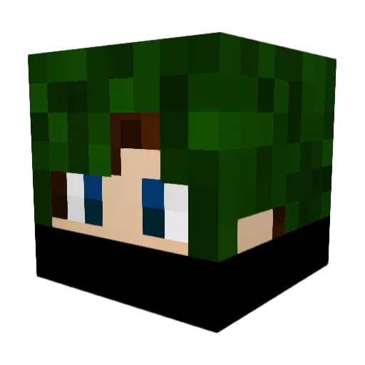 bobandjim1 Minecraft avatar head, 3D render