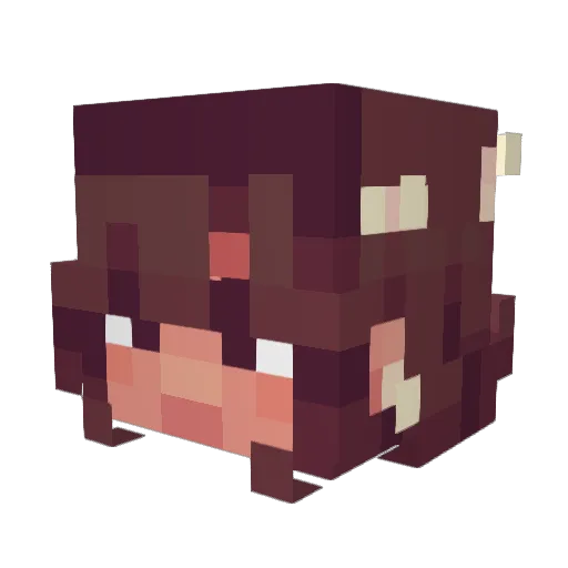 bobbenoppen Minecraft avatar head, 3D render