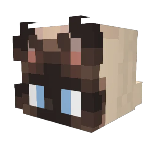 bobblebink Minecraft avatar head, 3D render