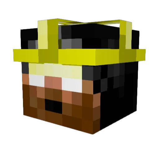 bobby12398 Minecraft avatar head, 3D render
