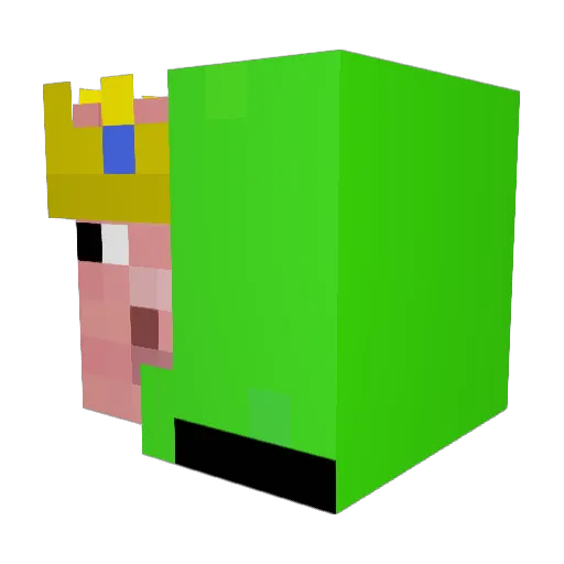 bobbybarretyt Minecraft avatar head, 3D render