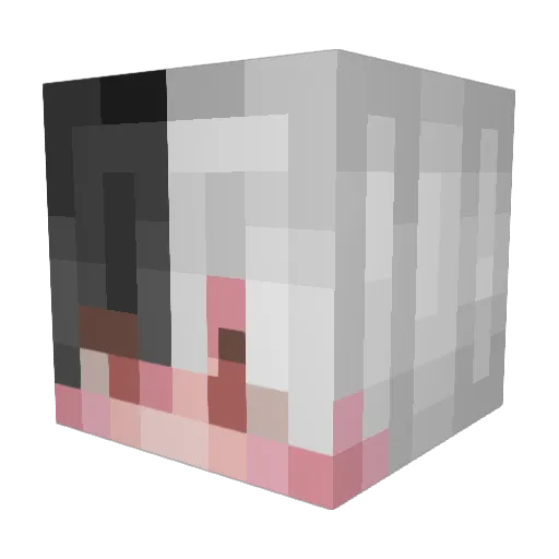 bobbybo509 Minecraft avatar head, 3D render