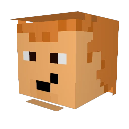 bobbyhill75 Minecraft avatar head, 3D render