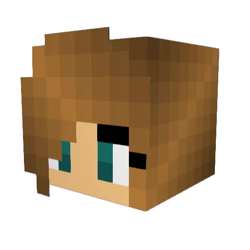 bobbyman999 Minecraft avatar head, 3D render