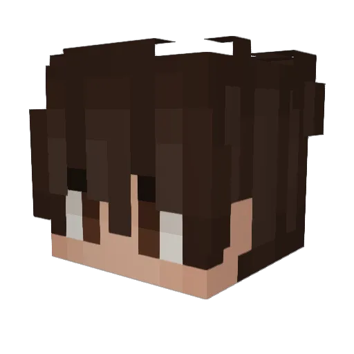 bobcat4848 Minecraft avatar head, 3D render