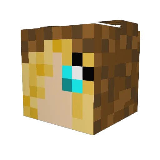 bobdog12345 Minecraft avatar head, 3D render