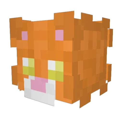 bobekbobeczek Minecraft avatar head, 3D render