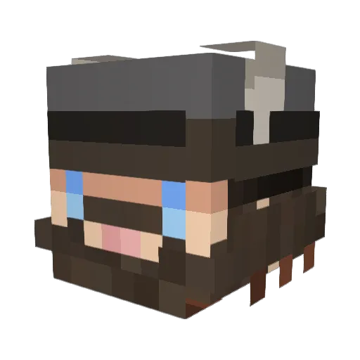 bobertes56 Minecraft avatar head, 3D render