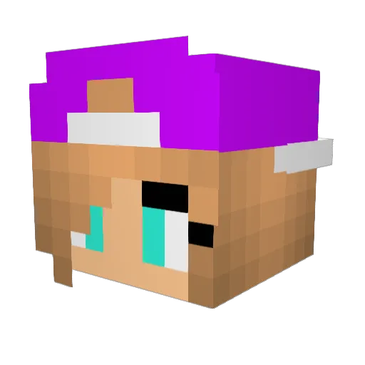 bobicorn123 Minecraft avatar head, 3D render