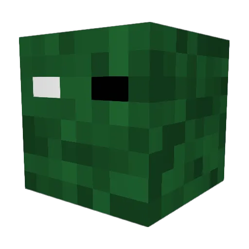 bobjack5555 Minecraft avatar head, 3D render