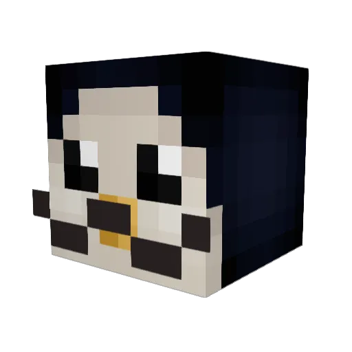 bobjr135 Minecraft avatar head, 3D render