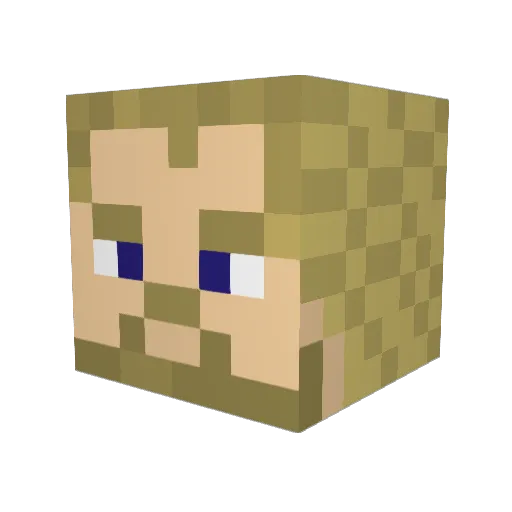 bobkin123456 Minecraft avatar head, 3D render
